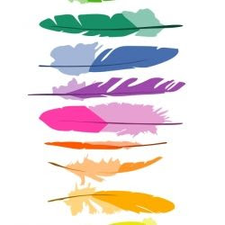 feathers