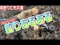√ダウンロード エギング ハイギア プロ 117032-エギング ハイギア プロ