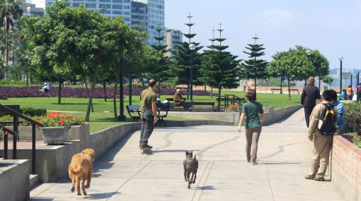 lima, senamhi, brillo solar, lima soleada