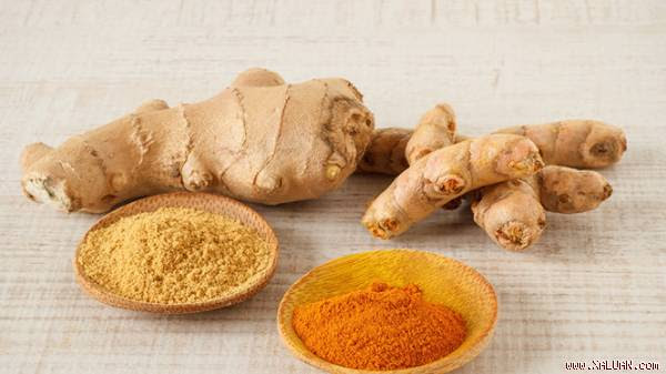 Nghệ và gừng giúp giảm đau nửa đầu