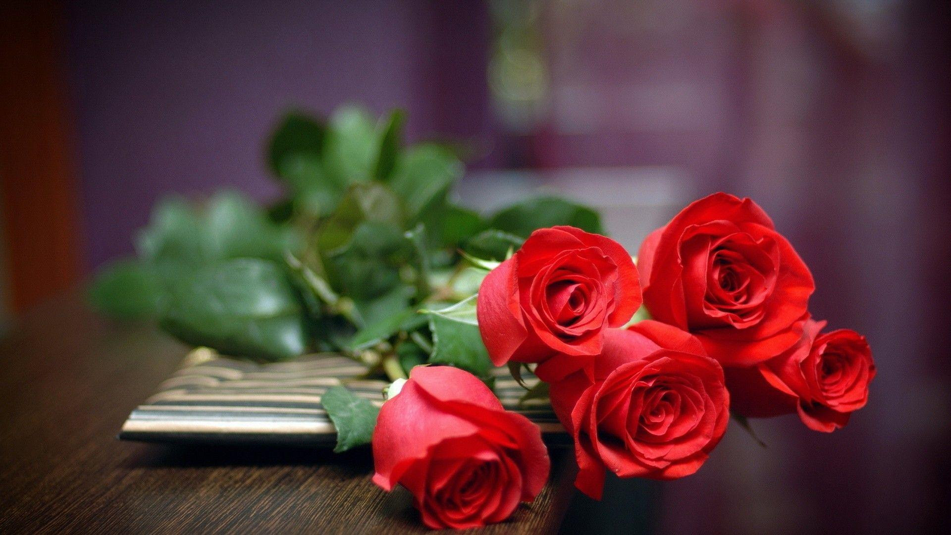 Rose Flower Wallpapers For Desktop - Wallpaper Cave