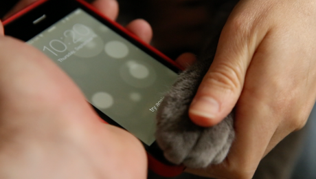 http://images.detik.com/content/2013/09/23/398/catiphone5sfingerprint.png