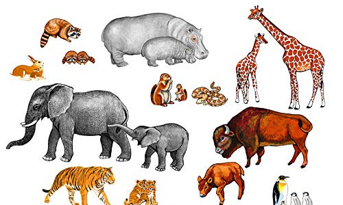 Up To 50% OFF Little Folk Visuals Wild Animals Precut Flannel/Felt Board Figures, 22 Pieces Set