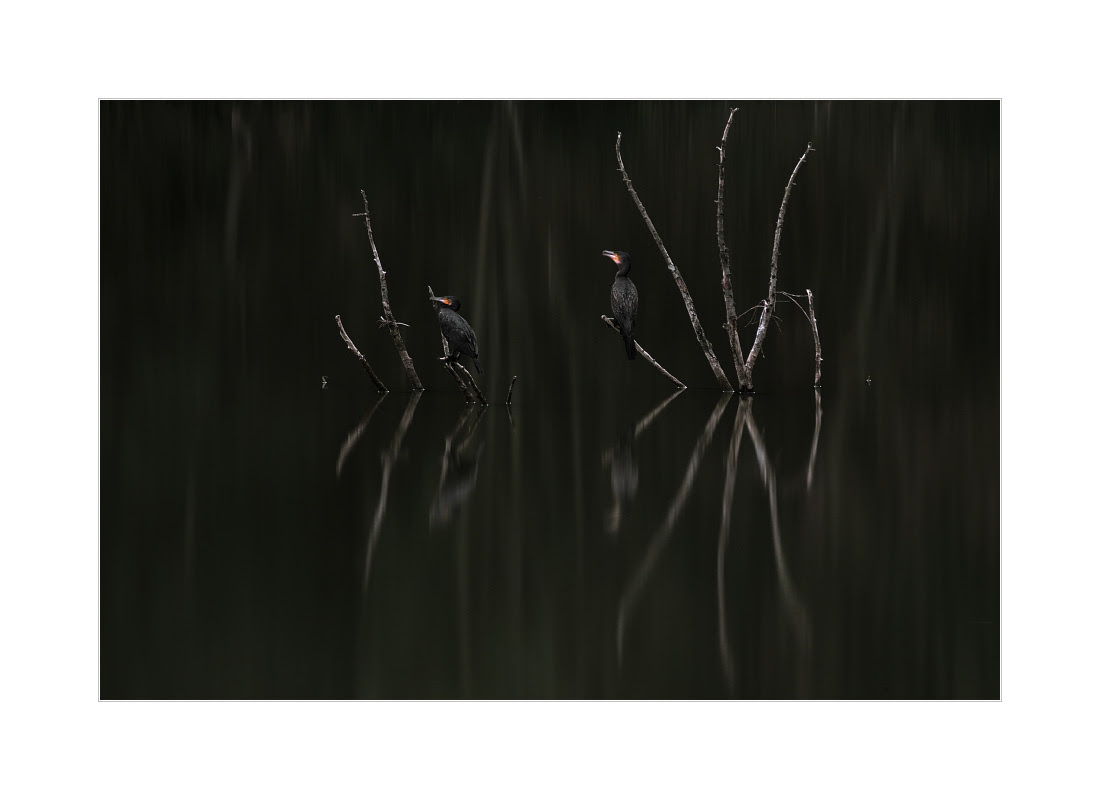 nature photography, view community,