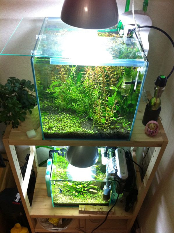 Aqualiving 水槽台