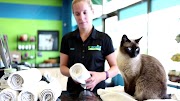petco hours Pet Evolution - How We Started