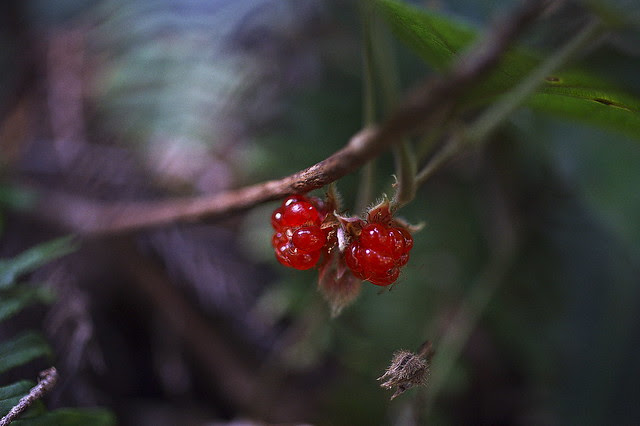 _DSC3837