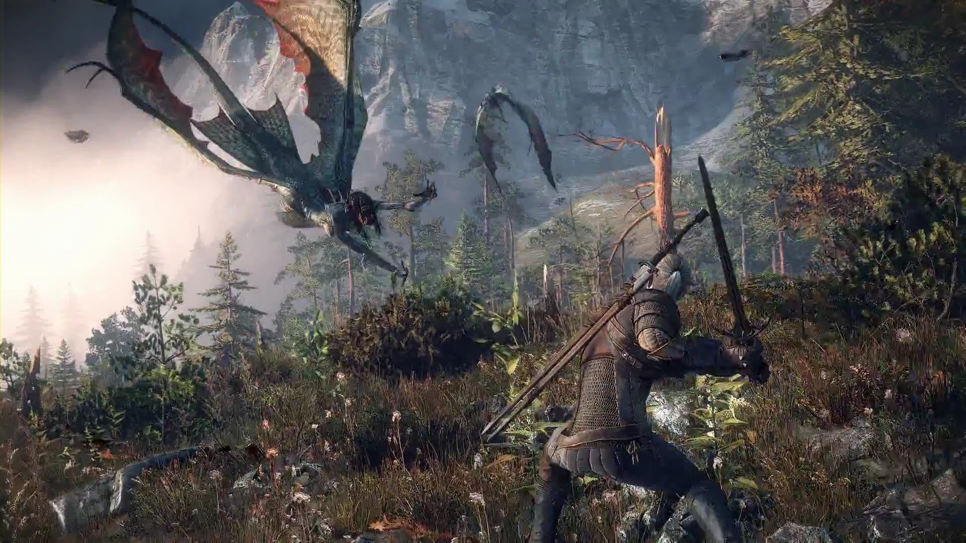 Witcher 3 Wallpaper 1920x1080 81 Images