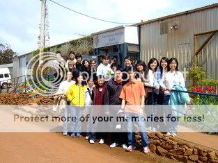 Photo Sharing and Video Hosting at Photobucket