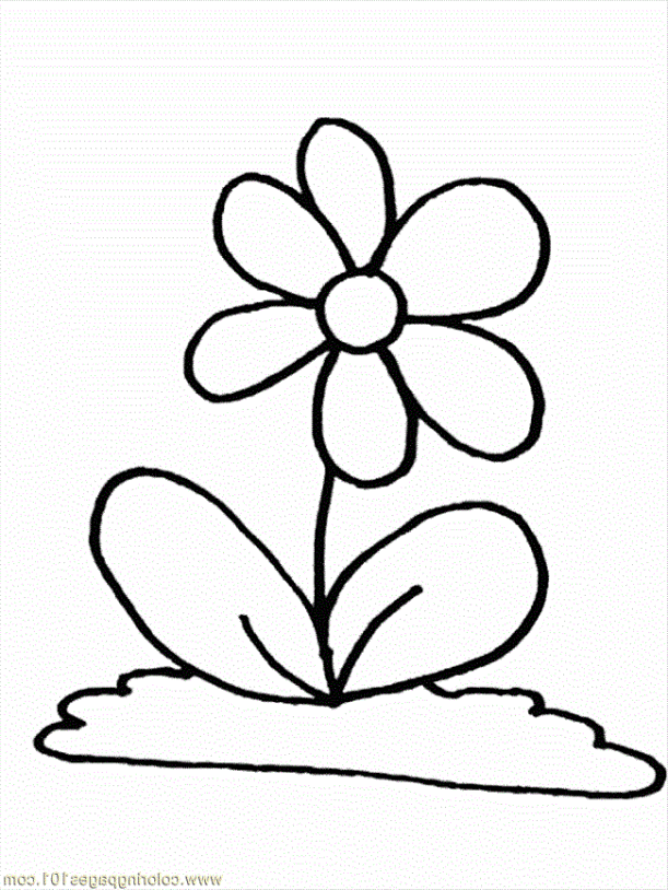 Gambar Bunga Hitam Putih ClipArt Best Gambar Bunga Hitam Putih ClipArt Best