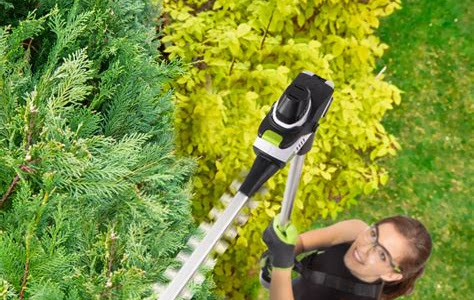Download Link long reach manual hedge trimmers Get Now PDF