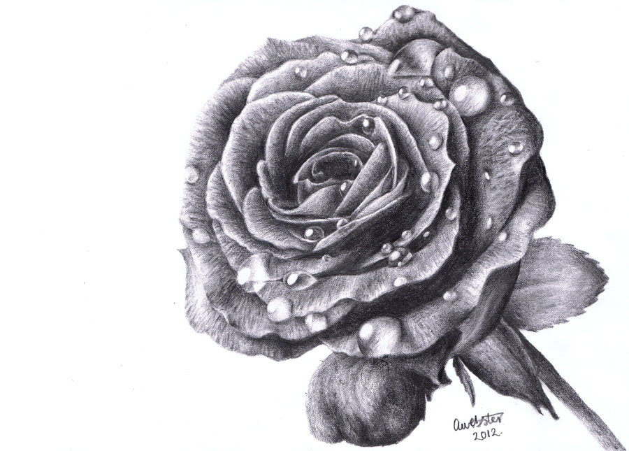 Free Realistic Rose Tattoo Black And White Download Free Clip Art Free Clip Art On Clipart Library