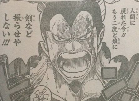 ワンピース 772話 ハクバ強すぎだろ タケノコ漫画研究所