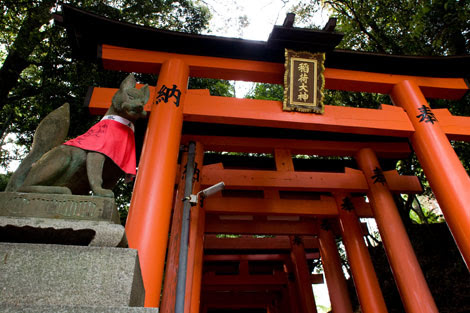 京都 伏見稲荷