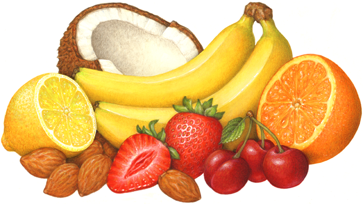 Tropical Fruit Stock Art - Douglas Schneider Illustration