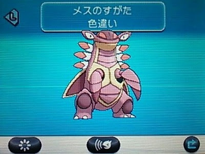 Y色違いアノプス お馬さんの足音