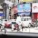 dabbawalas on the move