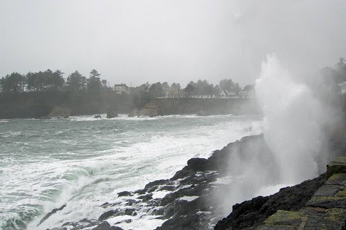 Oregon Coast 27