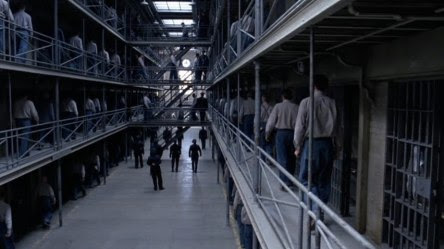 Shawshank 4 Cattle
