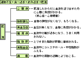 とやま健康パーク 健康ポケットカード