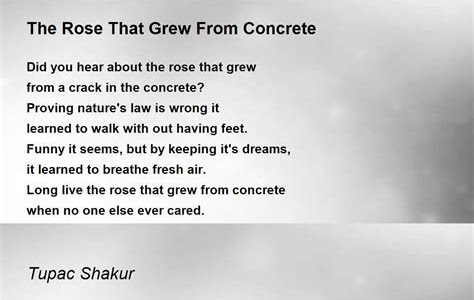 Link Download The Rose that Grew from Concrete PDF Ebook online PDF