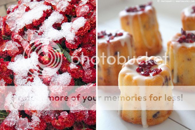 http://i402.photobucket.com/albums/pp103/Sushiina/cityglam/cramcale3.jpg