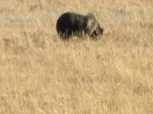 IMG_1128