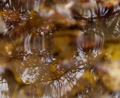 Reflections002
