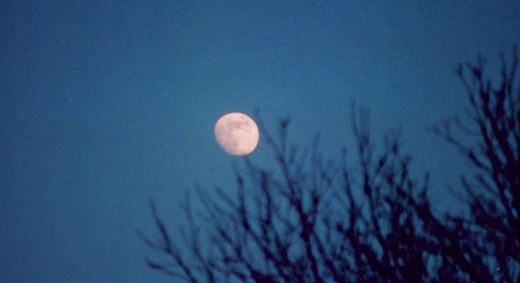 Rising waxing gibbous Moon