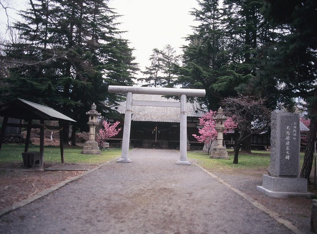 上田城-櫻千本