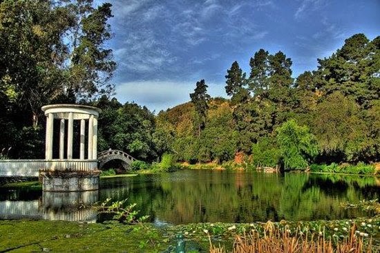 Jardin Botanico Nacional Chile