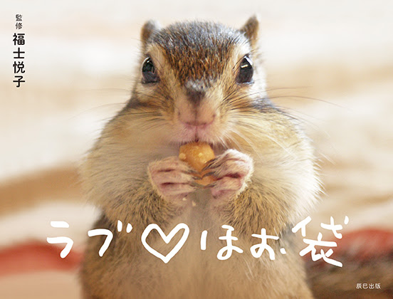 りすの本 仮 改め ラブ ほお袋 4 書影発表 写真について イラストレーター福士悦子のブログ Little Shop Blog リス などの動物 ぬいぐるみ キャラクター 雑貨