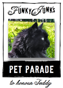 http://www.funkyjunkinteriors.net/wp-content/uploads/2013/04/Pet-Parade-via-Funky-Junk-Interiors.37-PM-214x300.png