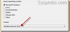 Windows 2012 server guest os in vmware