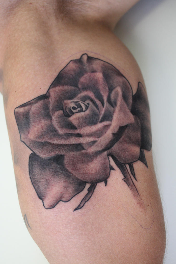 rose tattoo stencils