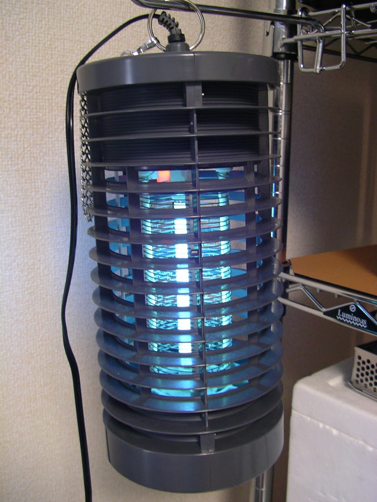 キノコバエ駆除奮闘記 004 部屋の成虫退治 トラップ 虫一徹の部屋