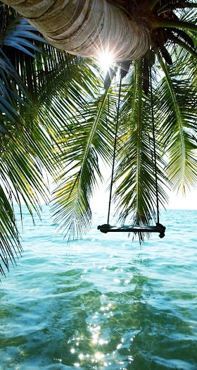 iphone wallpaper pinterest summer Cute summer iphone wallpapers