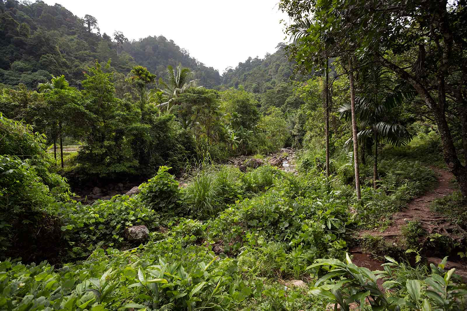 8 Things To Do In Padang Sumatra Travel Photography 8 Things To Do In Padang Sumatra Travel Photography