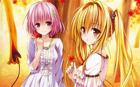 See more fan art related to. 37 To Love-Ru: Darkness HD Wallpapers | Background Images