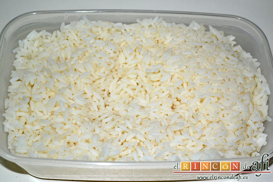 macyalmadb