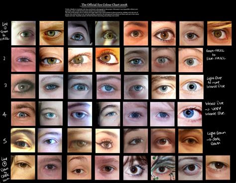  human eye colour chart by delpigeon eye color chart eye color chart