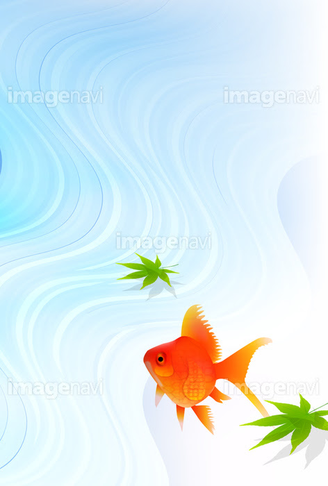 夏 金魚 水 背景 の画像素材 イラスト素材ならイメージナビ