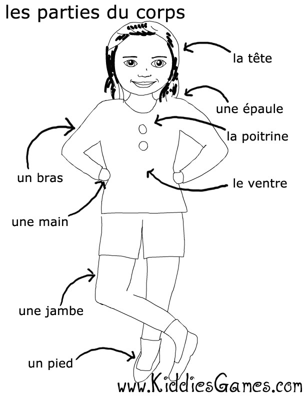 Free Body Parts Download Free Clip Art Free Clip Art On Clipart Library