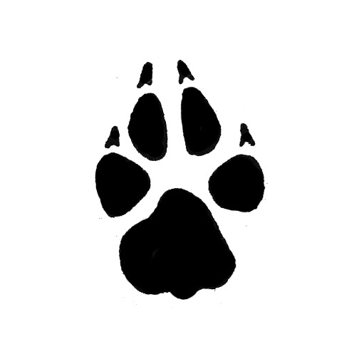 Download Paw svg, Download Paw svg for free 2019