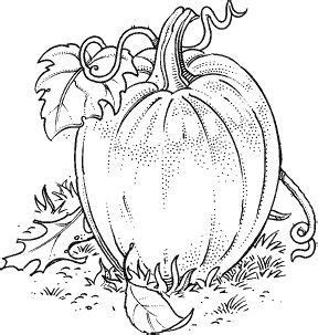 Webaug 27, 2020 · we've got you covered! risultati immagini per pumpkin leaf template printable fall coloring