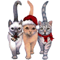 Magui Navidad