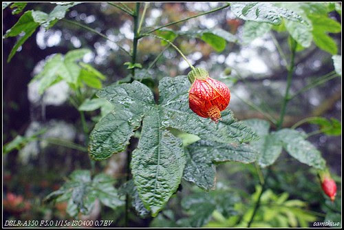 DSC01528_nEO_IMG.jpg