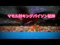 キック ボクサー マモル 914741