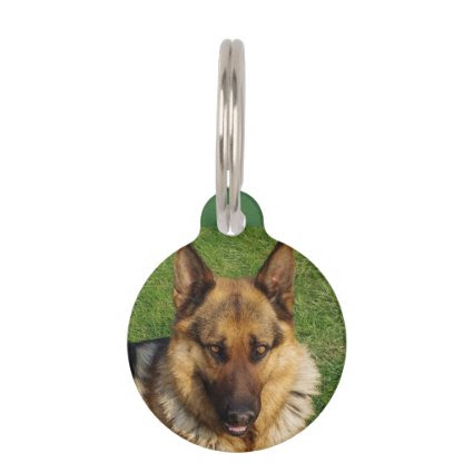 "Pet I'd Tag" Pet Tags