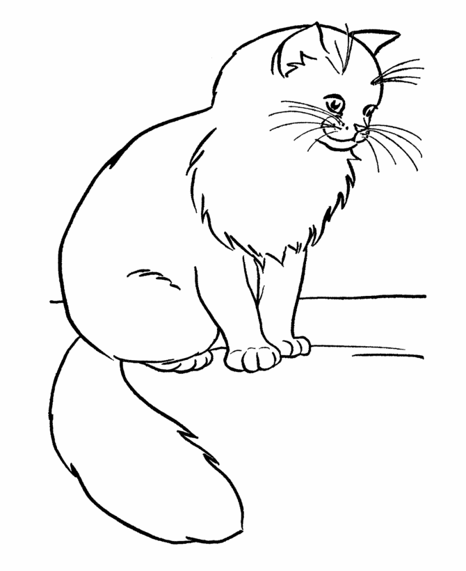 house cat coloring pages  clip art library